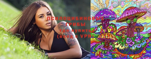 2c-b Алексеевка