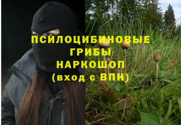 ешки Абаза