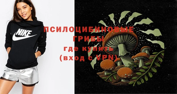 хмурый Алексин