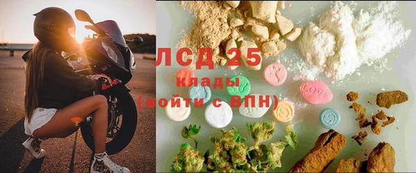 хмурый Алексин